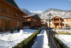 Hotel Daffodil Manali