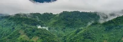 place