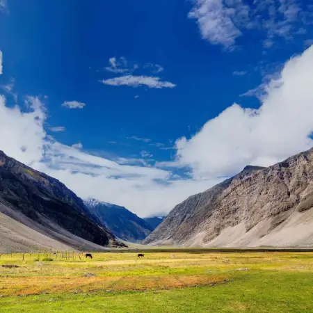 Ladakh Photography Tour - Capture the High Mountains of Ladakh